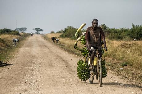 Entre George y Edouard Entre George y Edouard