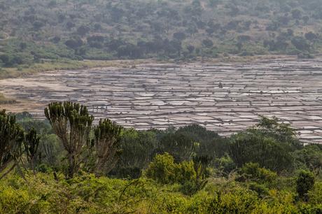 Entre George y Edouard Entre George y Edouard