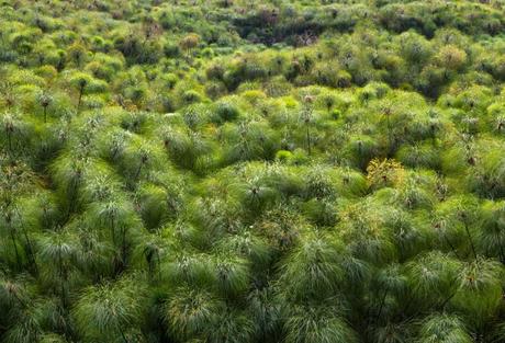 Entre George y Edouard Entre George y Edouard