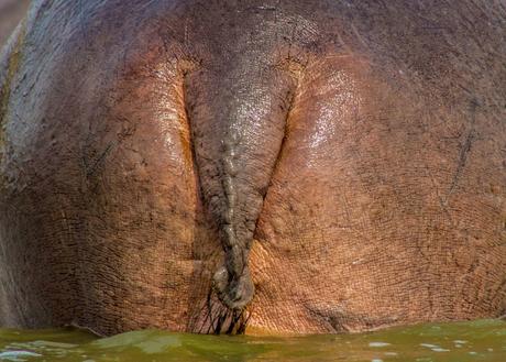 Entre George y Edouard Entre George y Edouard