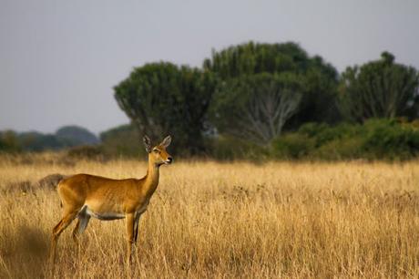 Entre George y Edouard Entre George y Edouard