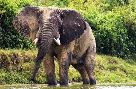 Entre George y Edouard Entre George y Edouard