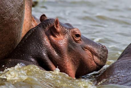 Entre George y Edouard Entre George y Edouard