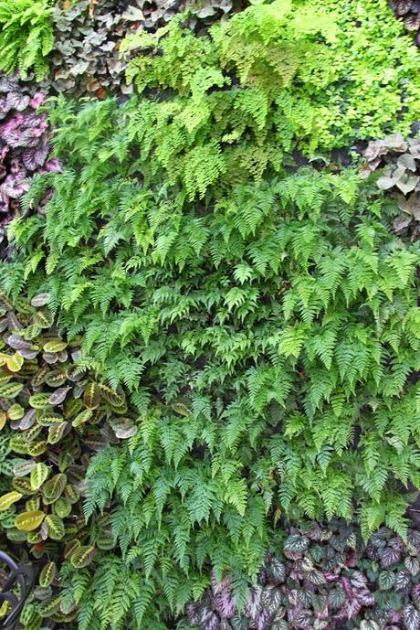 Jardín vertical en Matimex, Castellón. Jardín vertical en Matimex, Castellón.