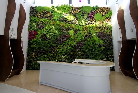 Jardín vertical en Matimex, Castellón. Jardín vertical de interior