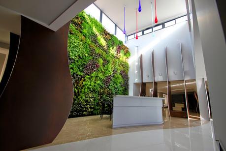 Jardín vertical en Matimex, Castellón. Jardín vertical en Matimex, Castellón.