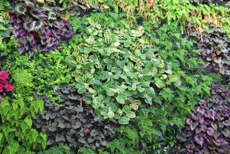 Jardín vertical en Matimex, Castellón. Jardín vertical en Matimex, Castellón.