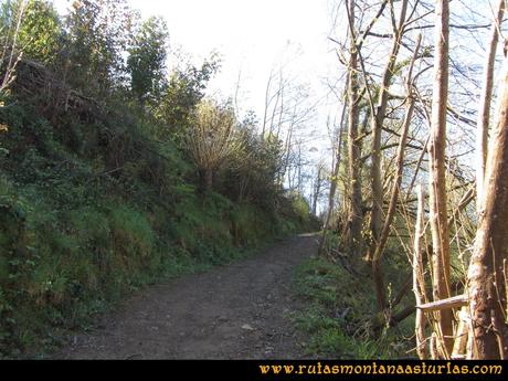 Camino Encantado Llanes: Subiendo a Comezán