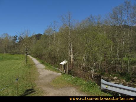 Camino Encantado Llanes: Camino junto al Río San Miguel