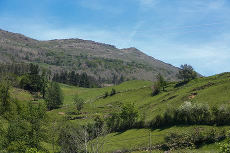 Carmona, Cantabria