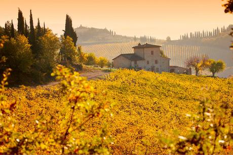 5 cosas que debes hacer si viajas a la Toscana 5 cosas que debes hacer si viajas a la Toscana