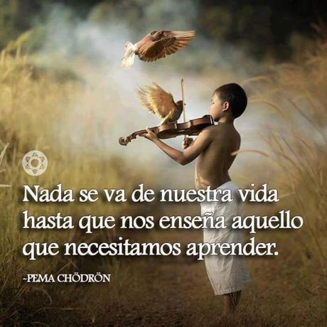 Como sobrellevar la muerte pema