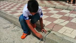 El Gusano más largo (Competencia Emocional) El Gusano más largo (Competencia Emocional)