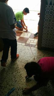 El Gusano más largo (Competencia Emocional) El Gusano más largo (Competencia Emocional)