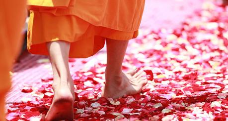 Lección de entrega Lección de entrega