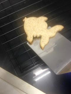 GALLETAS INTEGRALES CON Y SIN CHOCOLATE GALLETAS INTEGRALES CON Y SIN CHOCOLATE