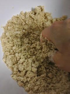 GALLETAS INTEGRALES CON Y SIN CHOCOLATE GALLETAS INTEGRALES CON Y SIN CHOCOLATE