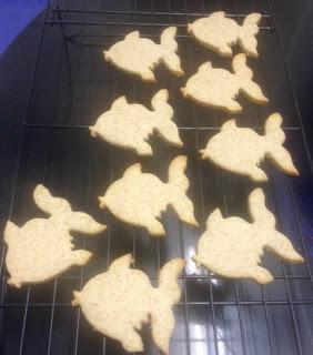 GALLETAS INTEGRALES CON Y SIN CHOCOLATE GALLETAS INTEGRALES CON Y SIN CHOCOLATE