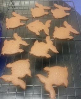 GALLETAS INTEGRALES CON Y SIN CHOCOLATE GALLETAS INTEGRALES CON Y SIN CHOCOLATE