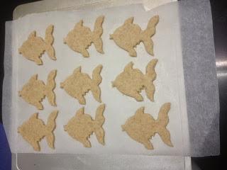 GALLETAS INTEGRALES CON Y SIN CHOCOLATE GALLETAS INTEGRALES CON Y SIN CHOCOLATE