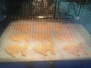 GALLETAS INTEGRALES CON Y SIN CHOCOLATE GALLETAS INTEGRALES CON Y SIN CHOCOLATE