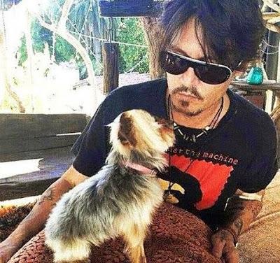 Australia deporta a los perros de Johnny Depp
