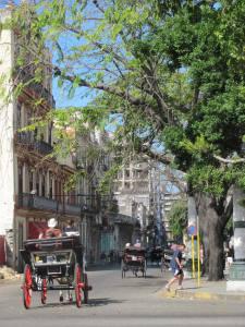 ¿No sabes qué llevarle a los cubanos de regalo cuando viajes a Cuba? ¡Aquí tienes una lista! ¿No sabes qué llevarle a los cubanos de regalo cuando viajes a Cuba? ¡Aquí tienes una lista!