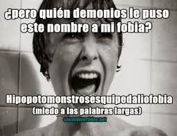 ¿Sabes qué es la hipopotomonstrosesquipedaliofobia? ¿Sabes qué es la hipopotomonstrosesquipedaliofobia?