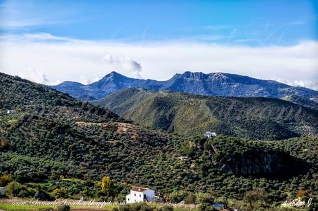 ZAHARA de la SIERRA (Cádiz): Fotografías en Color