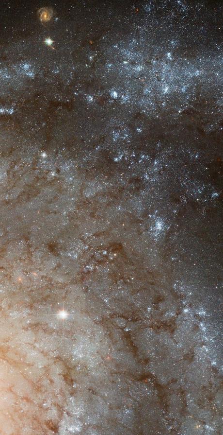 Detalles de M101