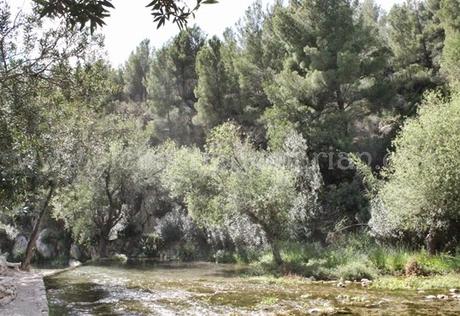 Las fuentes del Algar, las piscinas naturales del interior de Alicante