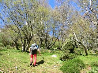 Las Viñas-Pando-Alto el Vildéu-Corés-Perlunes-Gúa-Pola de Somiedo