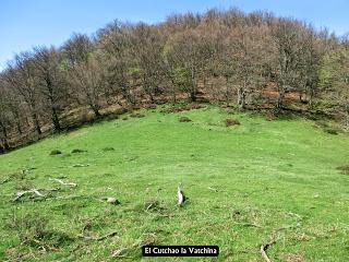 Las Viñas-Pando-Alto el Vildéu-Corés-Perlunes-Gúa-Pola de Somiedo