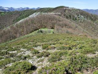 Las Viñas-Pando-Alto el Vildéu-Corés-Perlunes-Gúa-Pola de Somiedo