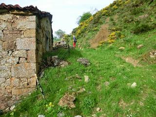 Las Viñas-Pando-Alto el Vildéu-Corés-Perlunes-Gúa-Pola de Somiedo