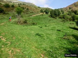 Las Viñas-Pando-Alto el Vildéu-Corés-Perlunes-Gúa-Pola de Somiedo