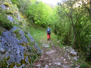 Las Viñas-Pando-Alto el Vildéu-Corés-Perlunes-Gúa-Pola de Somiedo