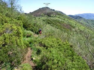 Las Viñas-Pando-Alto el Vildéu-Corés-Perlunes-Gúa-Pola de Somiedo