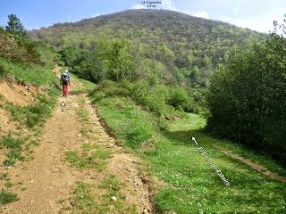 Las Viñas-Pando-Alto el Vildéu-Corés-Perlunes-Gúa-Pola de Somiedo