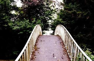 Enfermedad y futuro Enfermedad y futuro