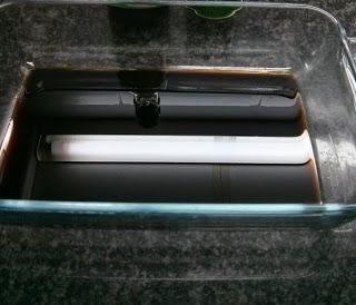 TATAKI DE ATúN TATAKI DE ATúN