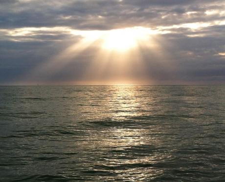 Lentes activos que oscurecen a la orden Lentes activos que oscurecen a la orden