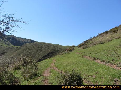 Ruta Ardisana, pico Hibeo: Camino a la collada