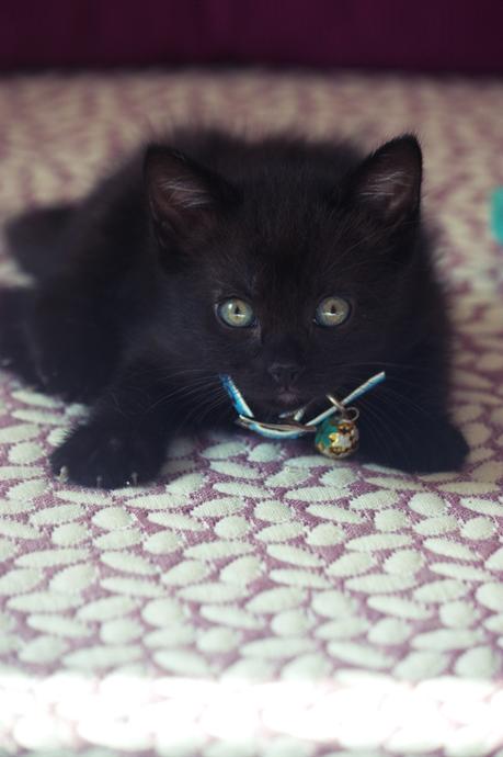 Blusa boho Blusa boho