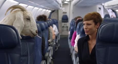 Un divertido vídeo de seguridad aérea que reúne a multitud de estrellas de Internet