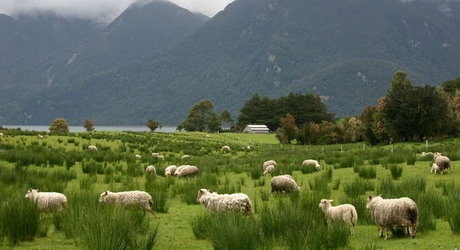 Las islas en venta como producto inmobiliario. Las islas en venta como producto inmobiliario.