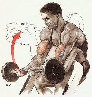 SUPER EJERCICIOS PARA BICEPS: CURL SCOTT Y CURL CON MANCUERNAS A 45º