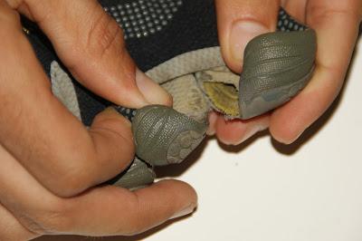 Sustitución Vibram Fivefingers Bikila LS Sustitución Vibram Fivefingers Bikila LS