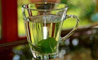 Remedios caseros con hierbabuena para la gastritis Remedios caseros con hierbabuena para la gastritis