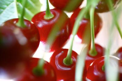 Llegan al mercado las primeras cerezas certificadas del Jerte Llegan al mercado las primeras cerezas certificadas del Jerte